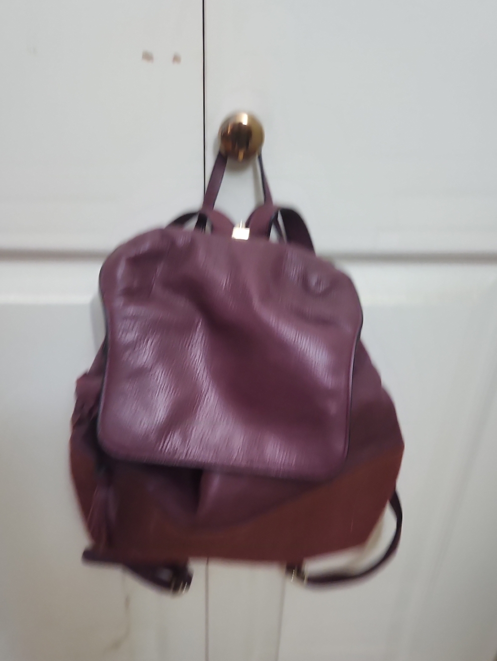 Rebecca Minkoff Women's Plum Leather Backpack